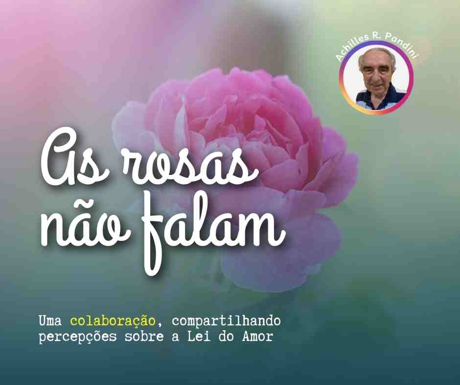 As rosas não falam